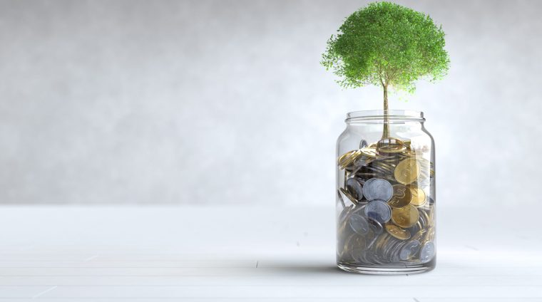 A tree grows on a coin in a glass jar, Money saving concept